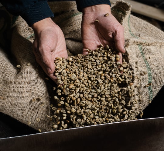 Persona agarrando granos de café de una bolsa